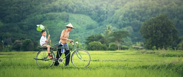 Beauty of Cambodia
