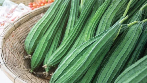 Angled Gourd (Lbah)