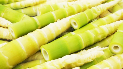 Bamboo Shoots (Slaa Khnong)
