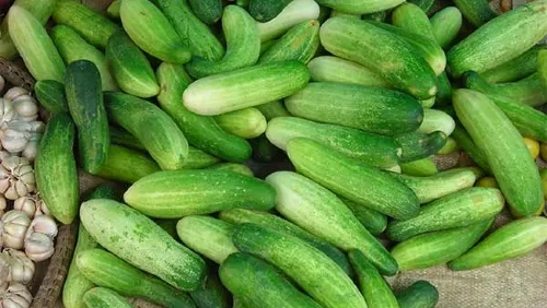 Cucumber (Trassak)