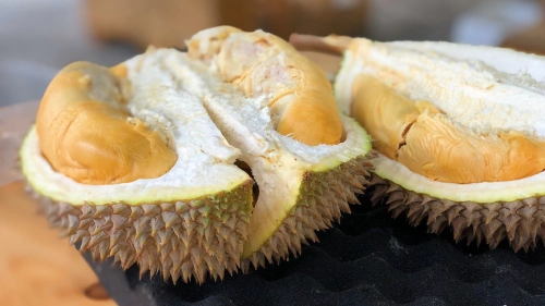 Durian (Thouren)