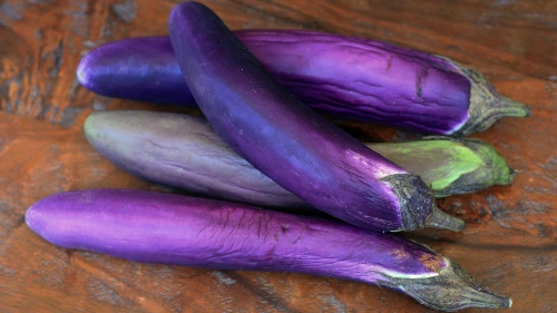 Eggplant (Trorlong)