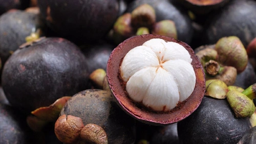Mangosteen (Mong Khut)
