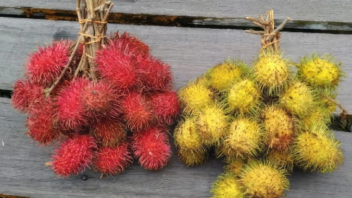 Rambutan (Saaw Maw)