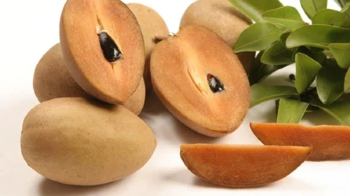 Sapodilla (Lmut)
