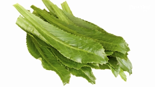 Sawtooth Herb (Chi Krassang)