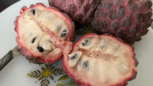 Sugar Apple (Tepong Khmao)