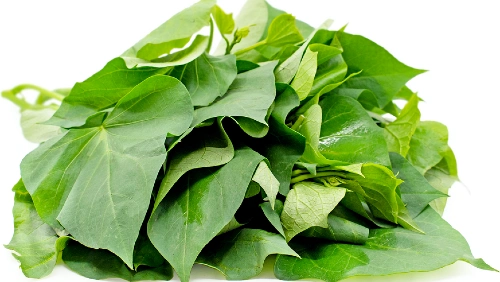Sweet Potato Leaves (Slek Damnoek)