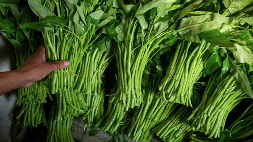 Water Spinach (Trakuon)
