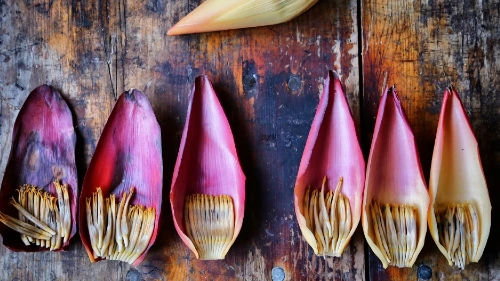 Banana Blossom