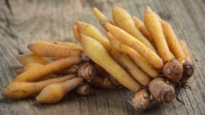 Fingerroot (Rieng)