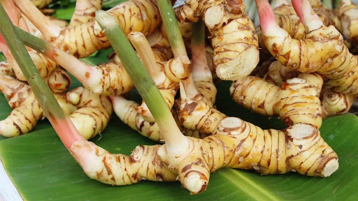 Galangal (Romdeng)