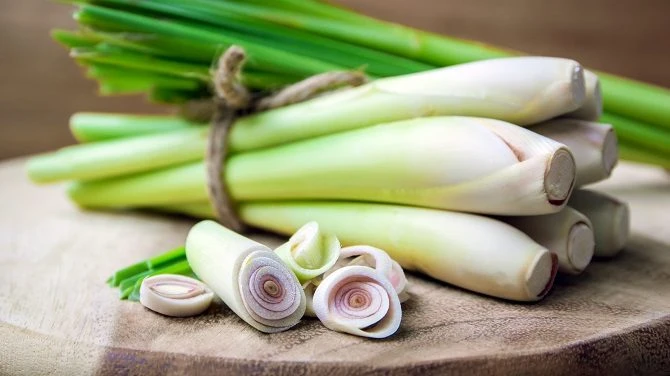 Lemongrass in Cambodia 