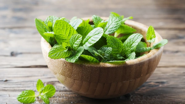 Mint leaves (S’aat Moen)