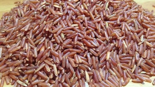 Red Rice (Phka Rumdeng)