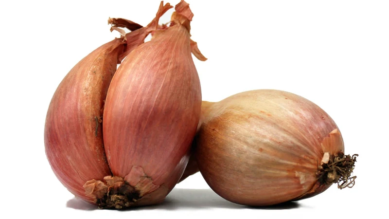 Shallots (Sngor Kteang)