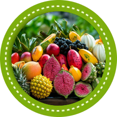 Fruits and vegetables are  very used in khmer cooking 
