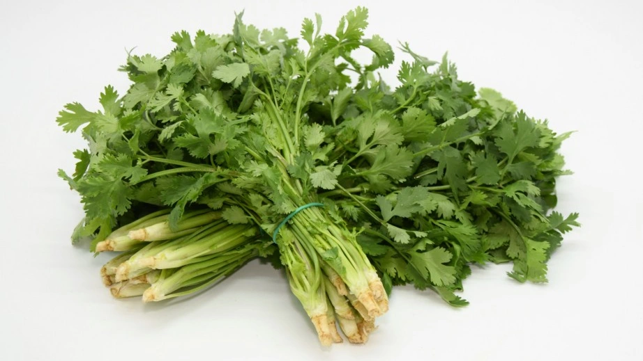 Cilantro (Chee Ponoh)
