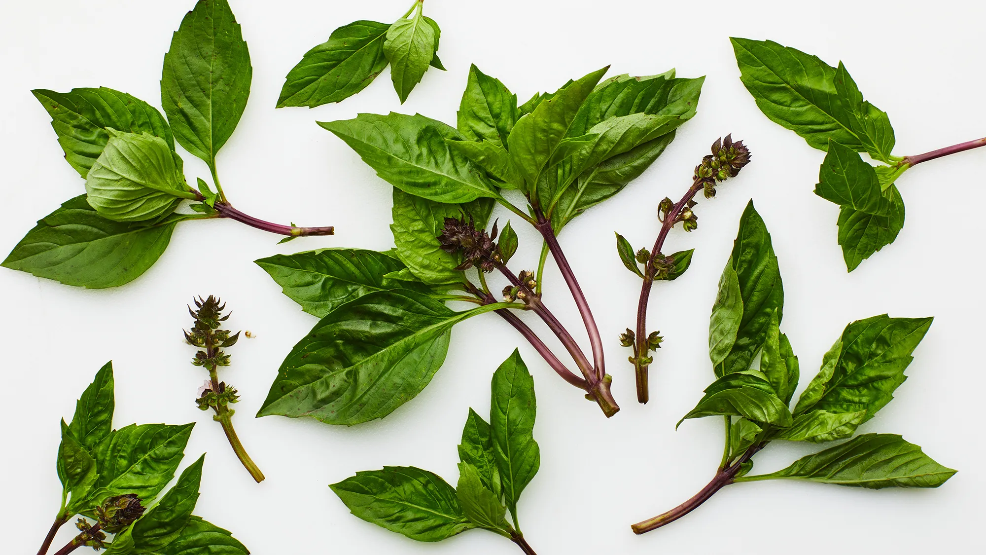 Thai Basil (Chie Krobey)